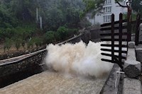 暴雨傾城，水控人冒雨排澇保暢通，守土盡責保供水安全！